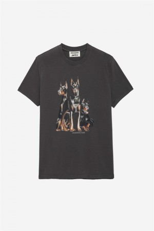 Zadig & Voltaire Jimmy T-shirt Szare | ZV-255700